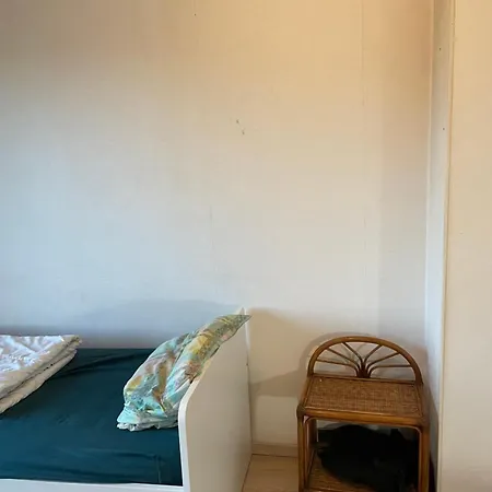 Elmountaser * Montpellier
